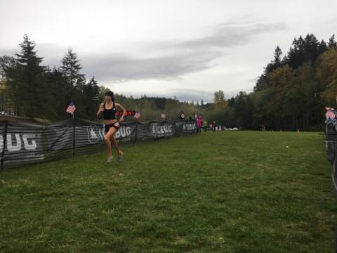 The Calm Before the Storm