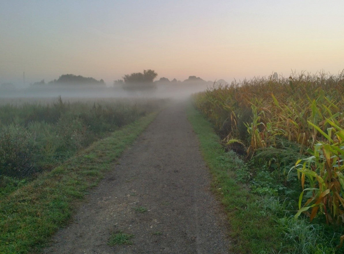 From the road to a trail—how I found a second wind on the trails