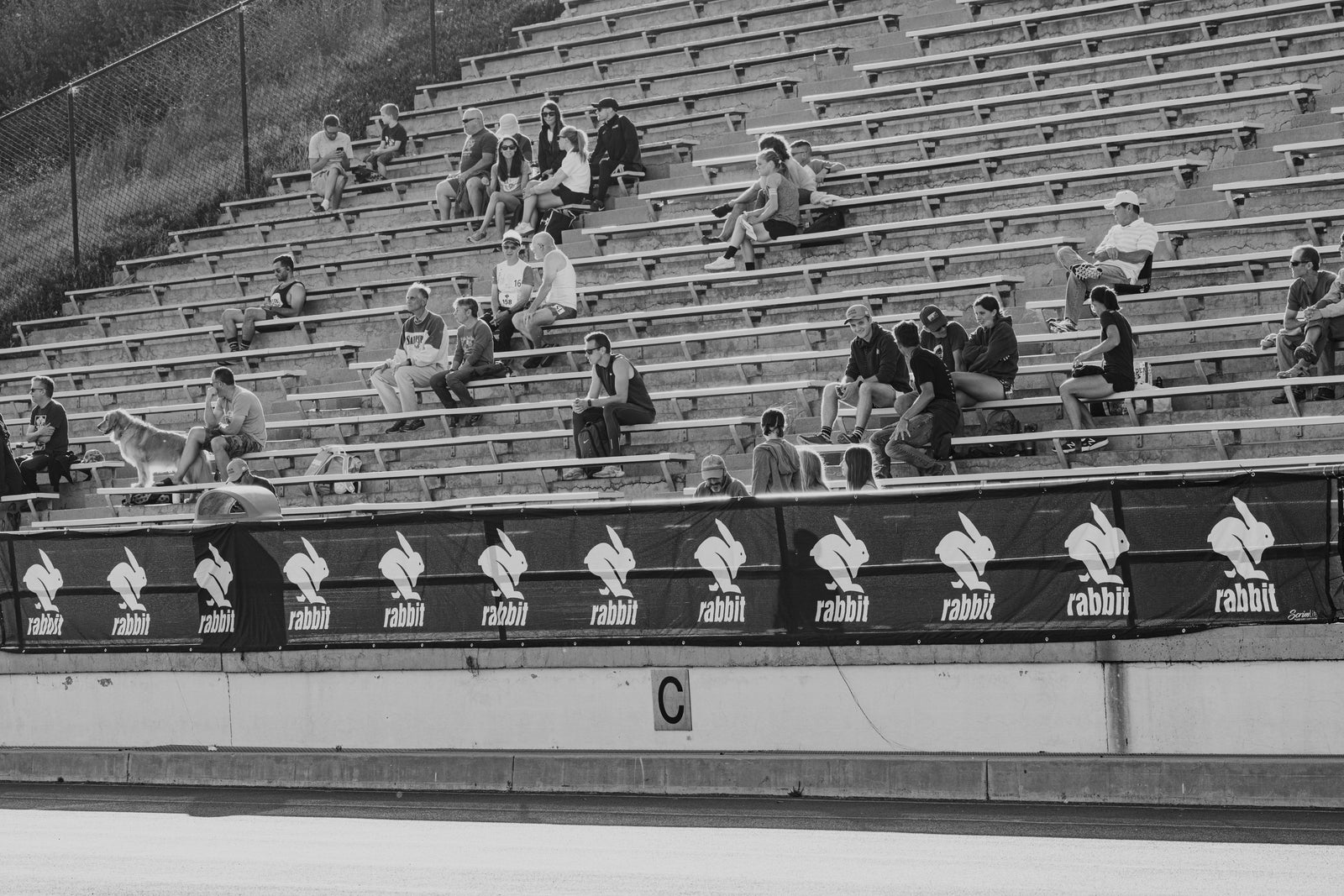 2019 rabbit track classic recap