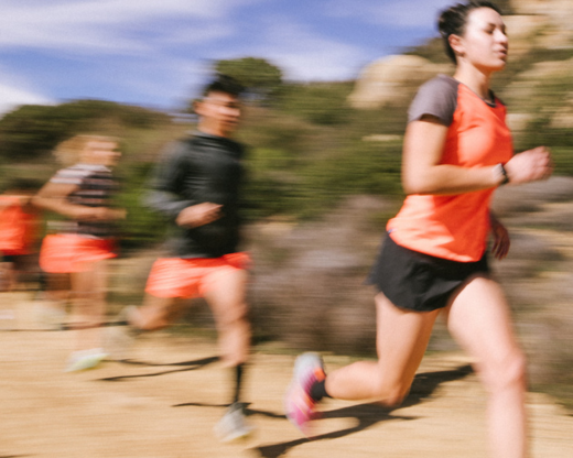 The Story I'm Telling Myself