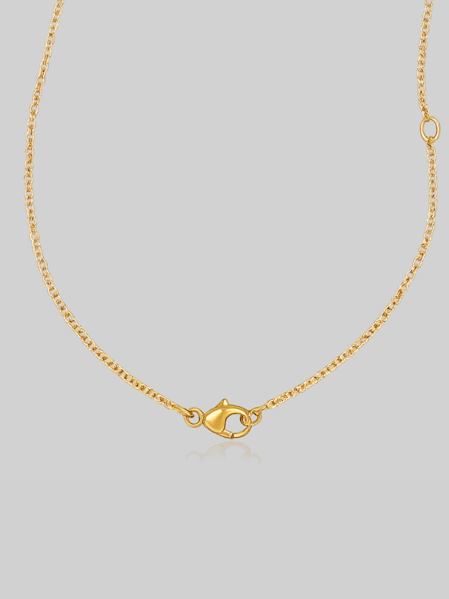 #Color_Gold-Vermeil