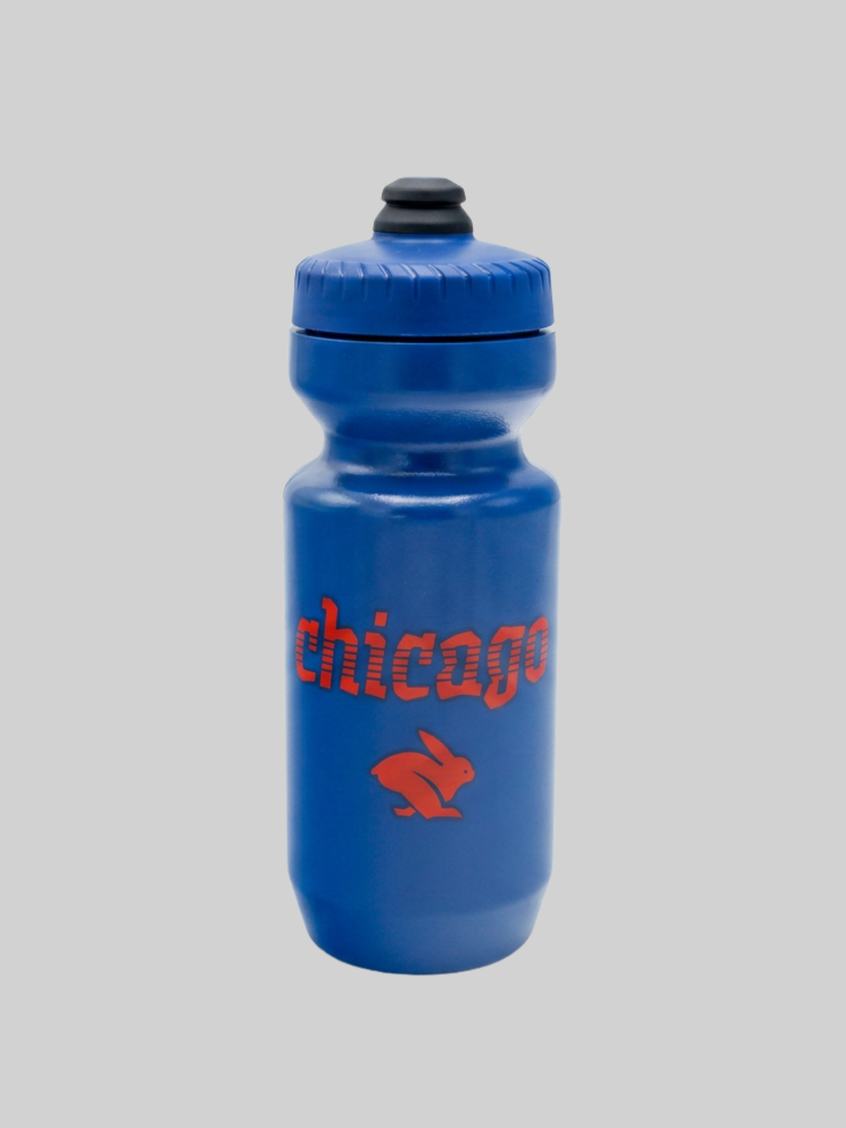 Water Bottle | Chicago, image 2 of 2