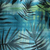 Algiers Blue Tropics
