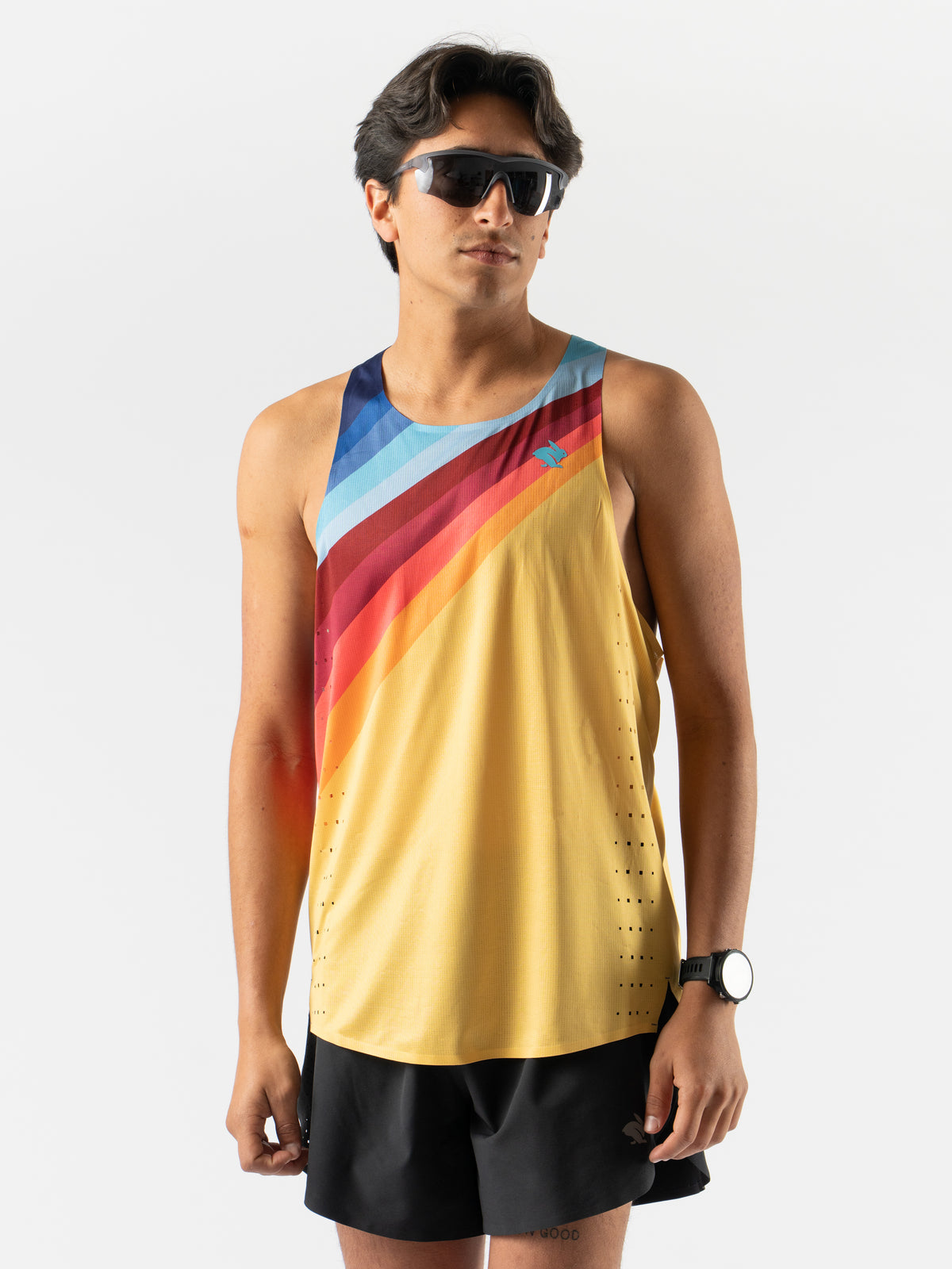 #Color_Solar-Stripe