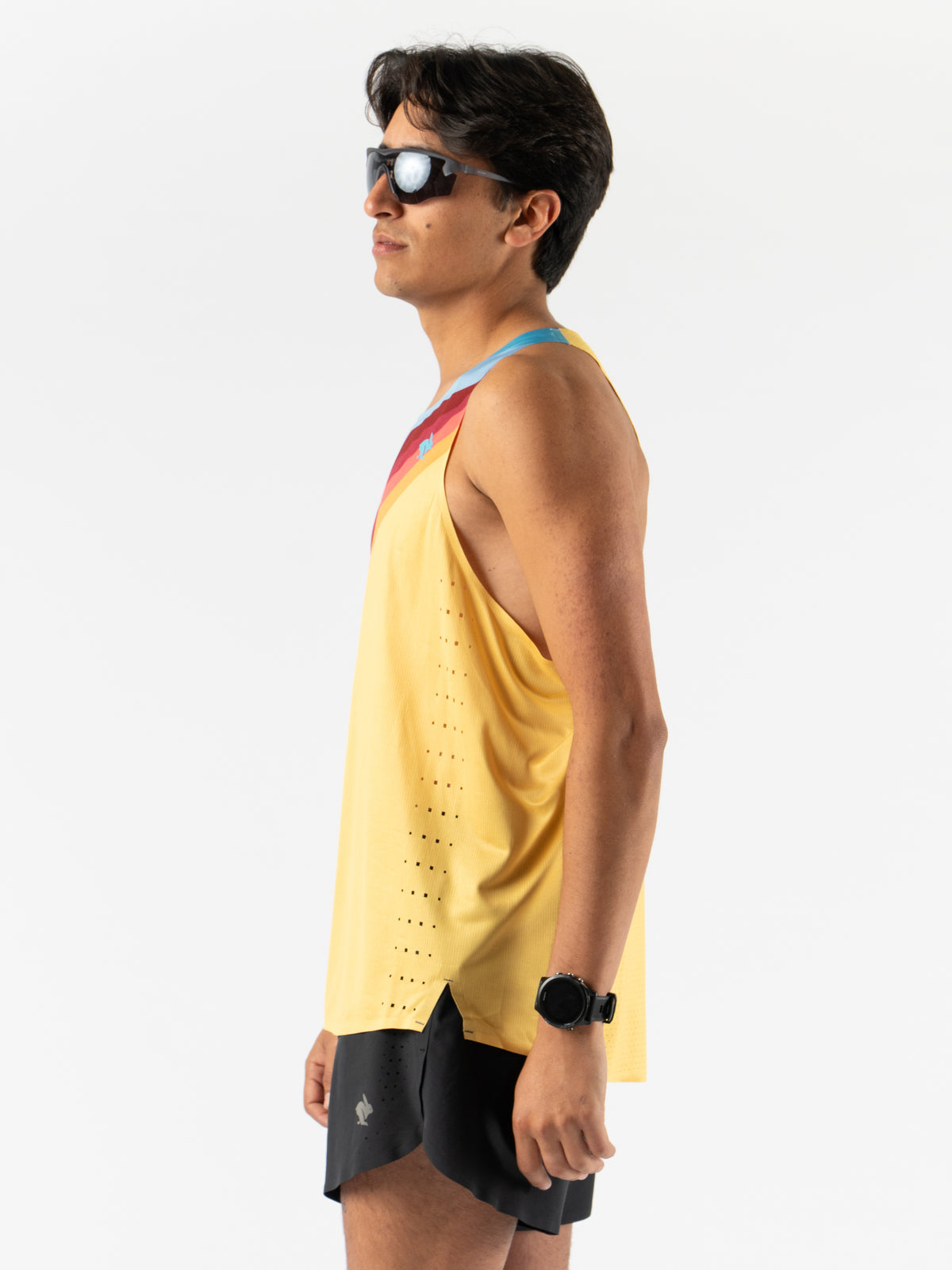 #Color_Solar-Stripe