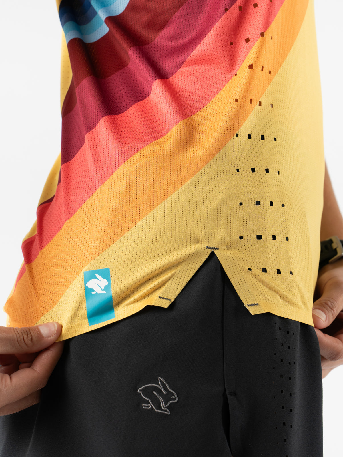 #Color_Solar-Stripe