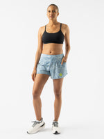 #Color_Endless-Sky-Fern