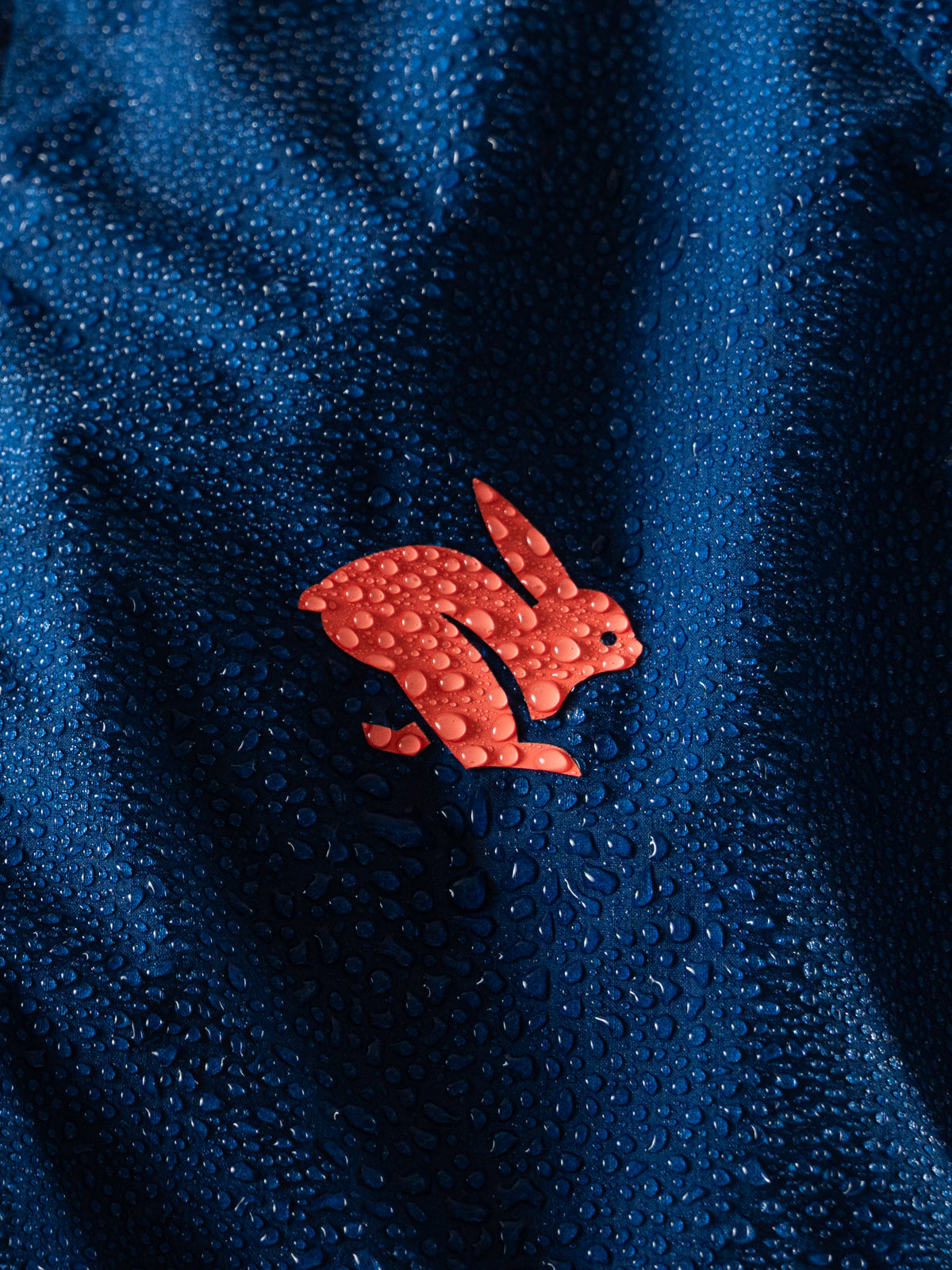 #Color_Navy-Peony