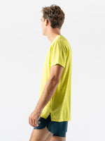 #Color_Evening-Primrose