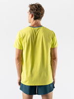 #Color_Evening-Primrose