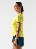 #Color_Evening-Primrose