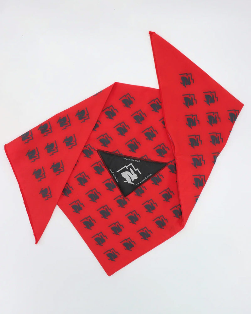Ice Bandana