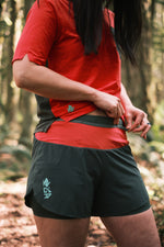 #Color_Mountain-View