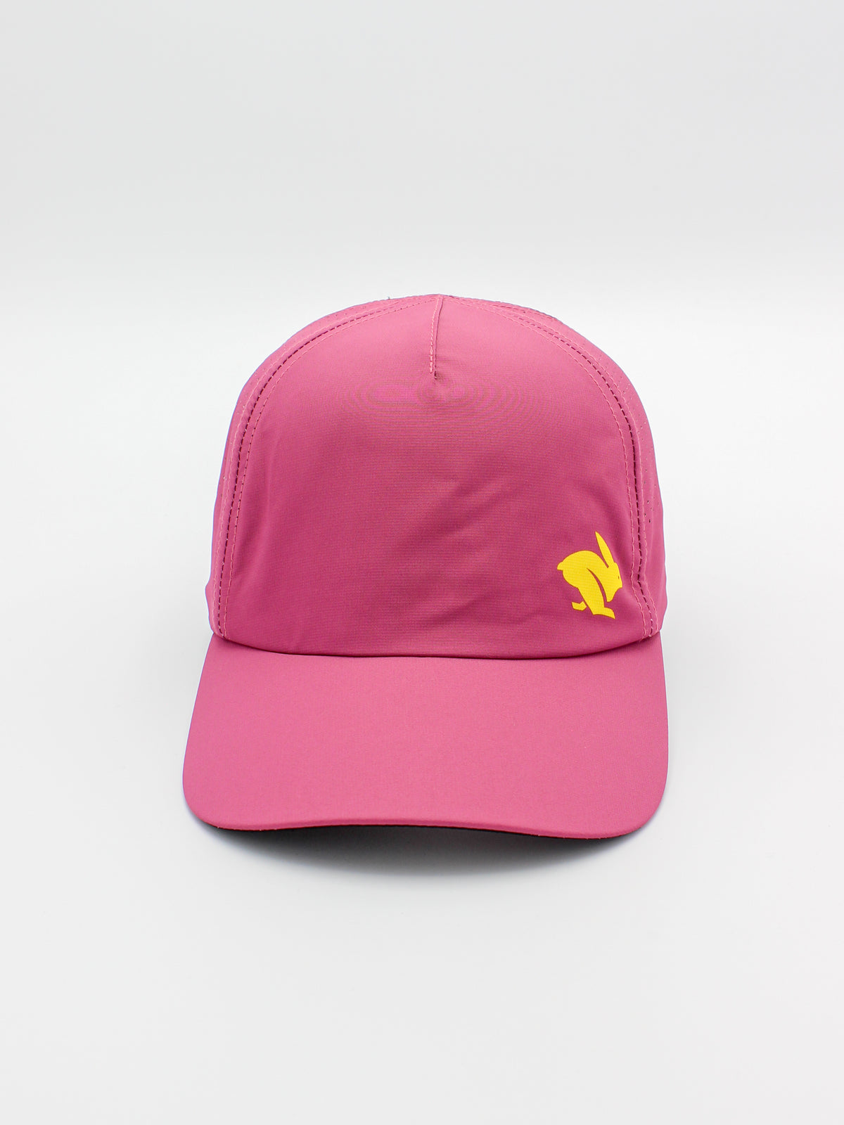 #Color_Cactus-Flower