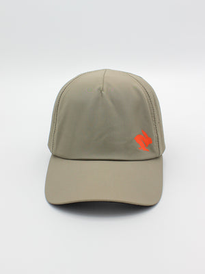 #Color_Pale-Brown