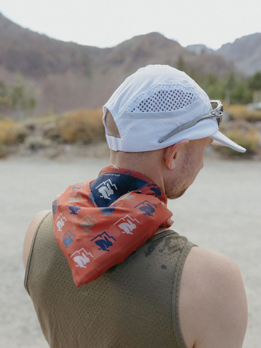 Ice RAD-dana - rabbit