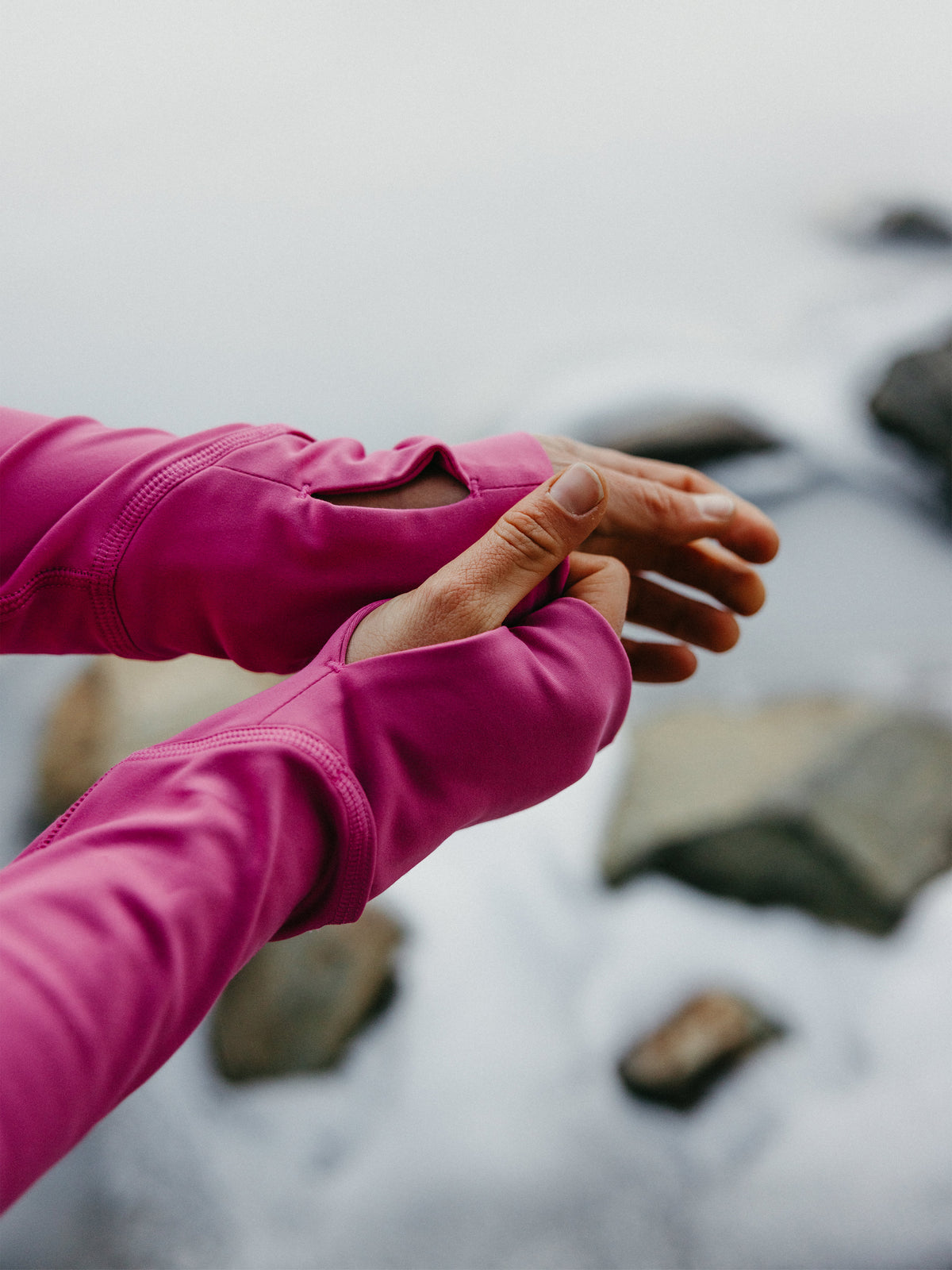 #Color_Cactus-Flower