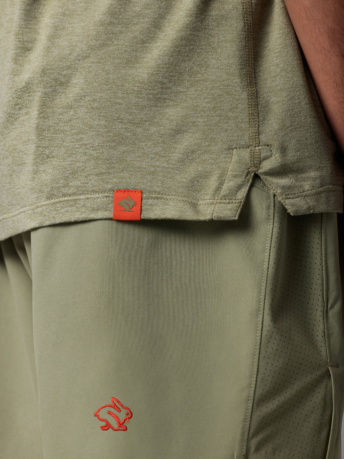 #Color_Pale-Brown