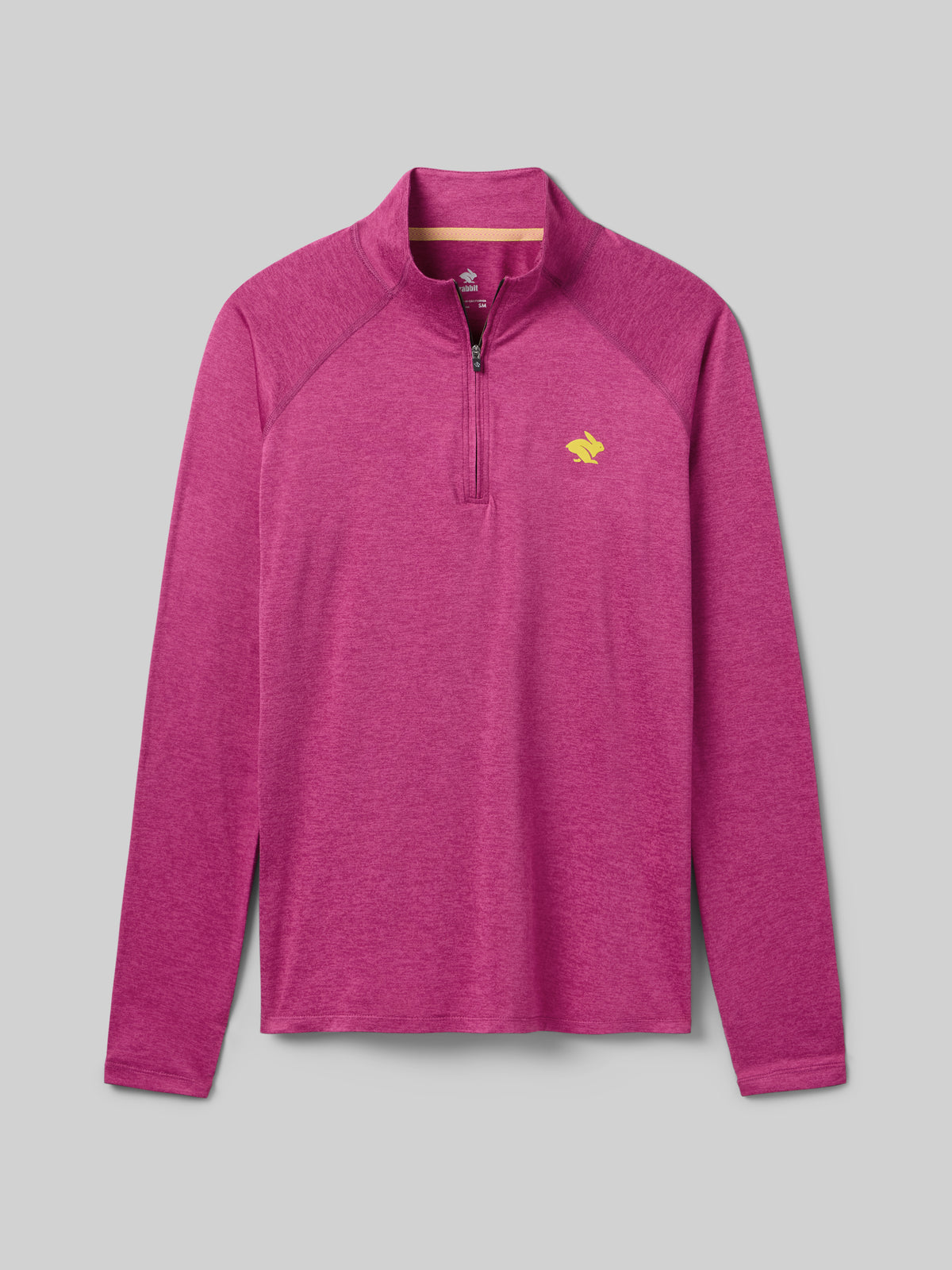 #Color_Cactus-Flower