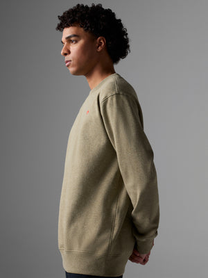 #Color_Pale-Brown