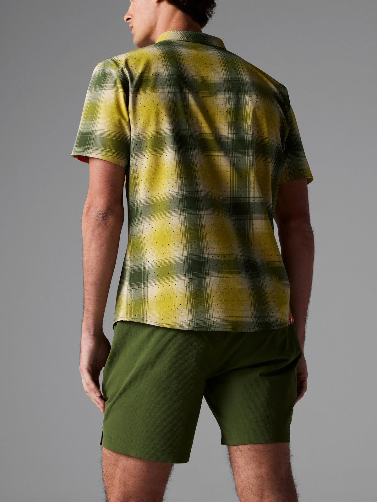 #Color_Chive-Plaid