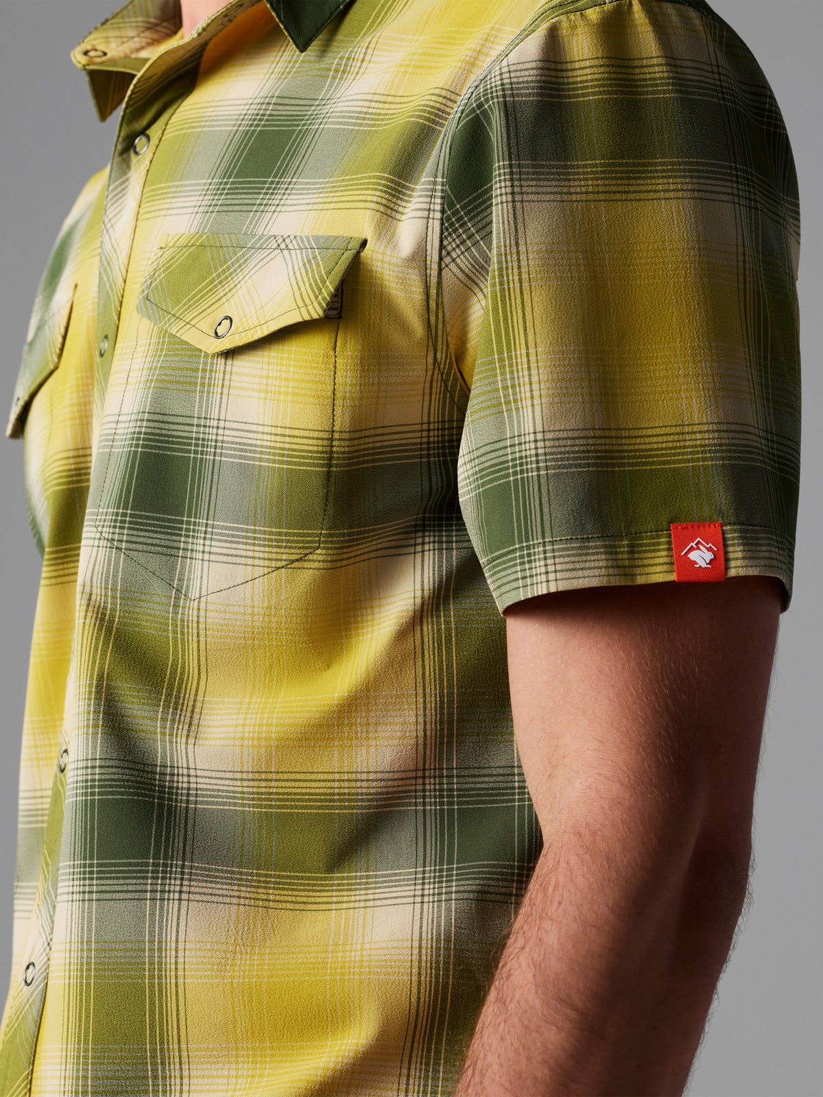 #Color_Chive-Plaid