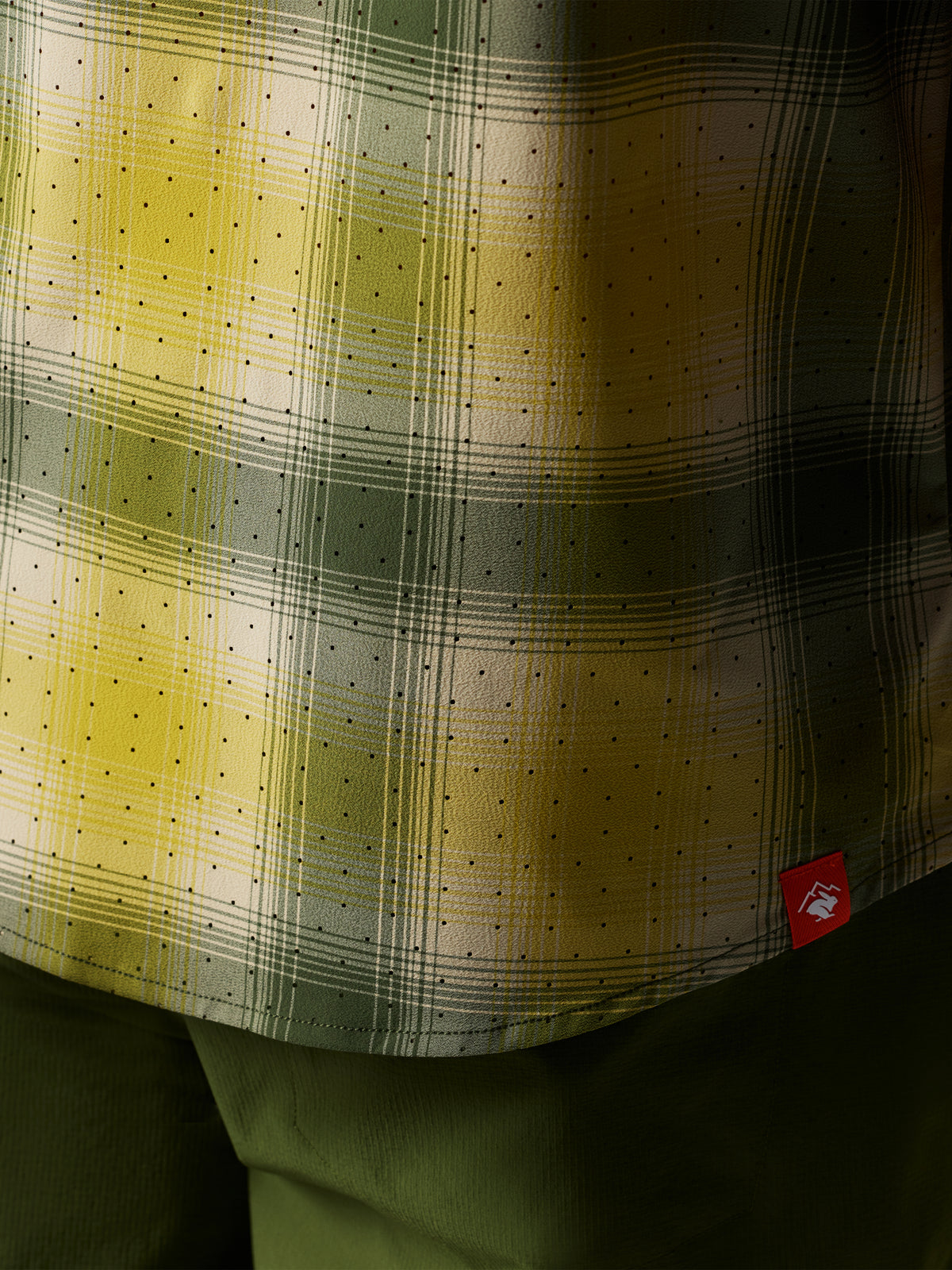 #Color_Chive-Plaid