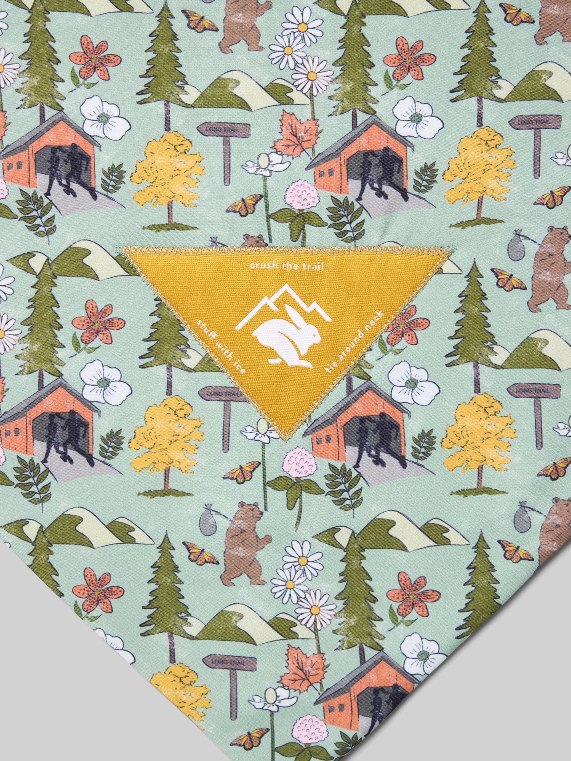 #Color_Walking-Bear
