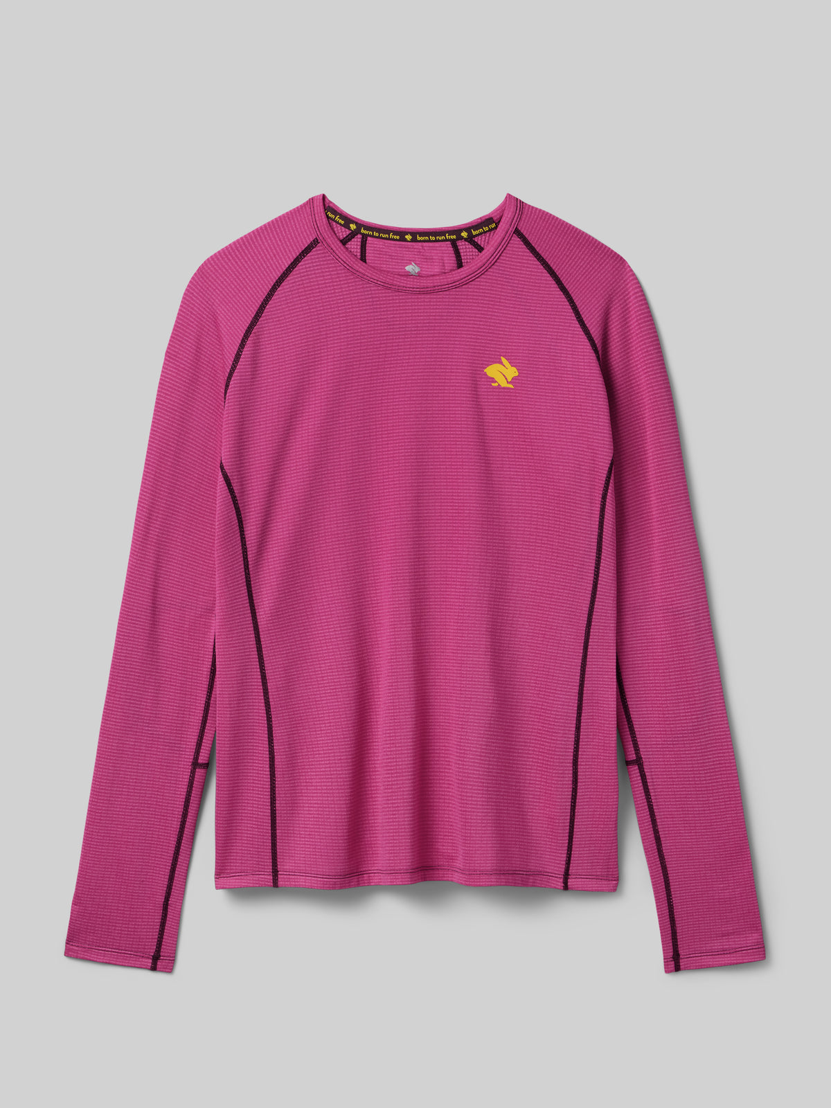 #Color_Cactus-Flower