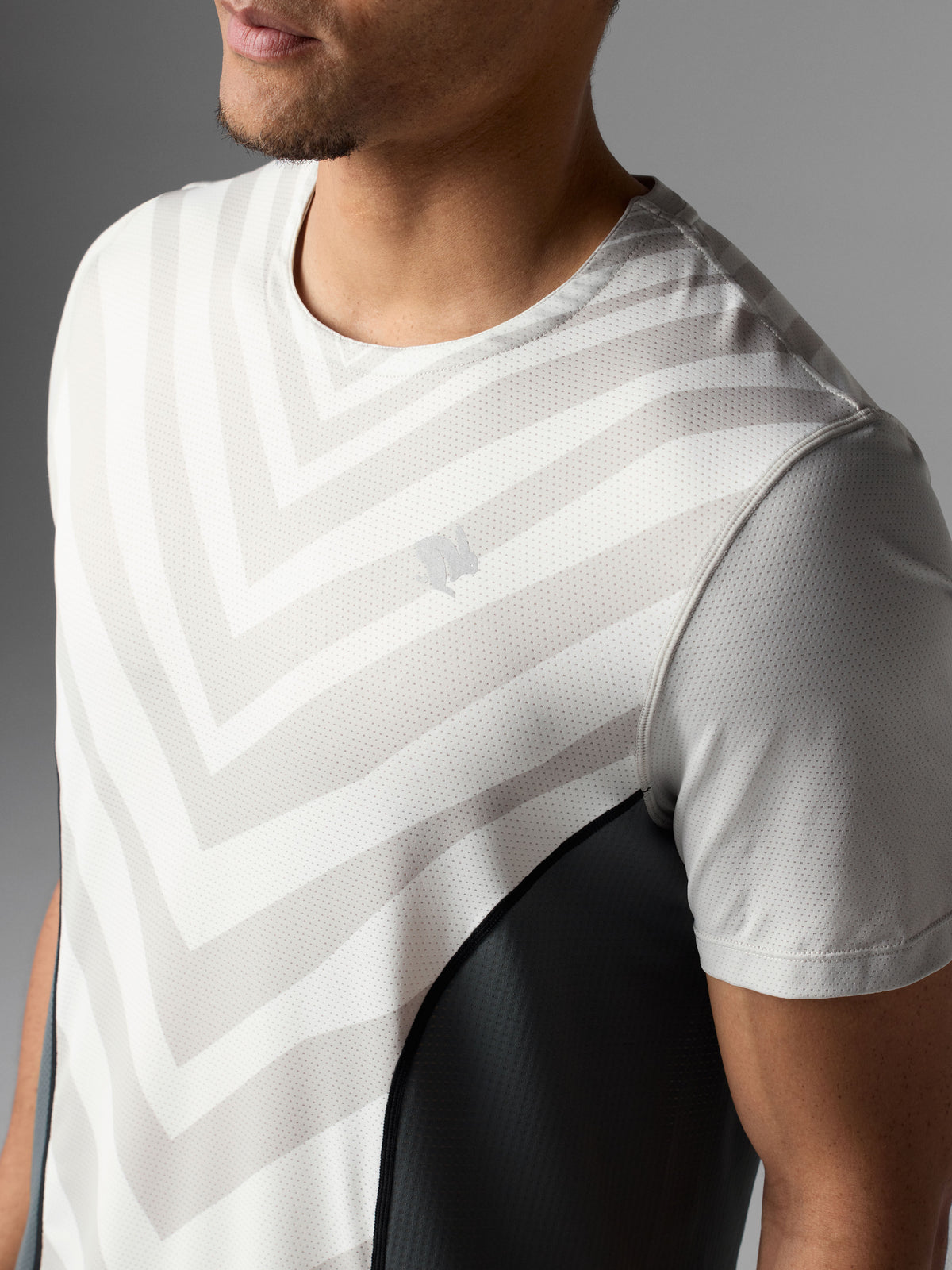 #Color_Gray-Zebra