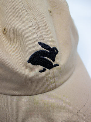 #color_Pale-Khaki